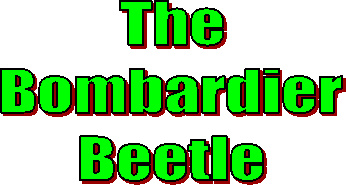 The
Bombardier
Beetle